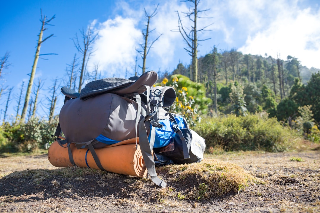 The Ultimate Guide to Packing Light for Trips The Ultimate Guide to Packing Light for Trips
